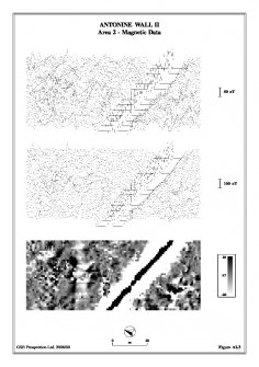 Geophysical Survey Data: Area 2 Magnetic Data (XY Trace plots and greyscales).