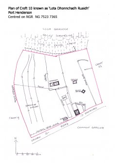 Port Henderson: Survey of Croft 10