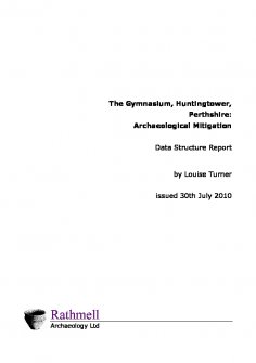 Data structure report from watching brief at The Gymnasium, Huntingtower