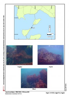 Scapa Flow 2013 Marine Archaeology Survey fig. 10, Argyle