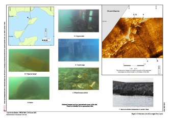 Scapa Flow 2013 Marine Archaeology Survey fig. 15: Lycia