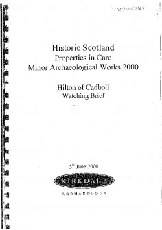 Hilton of Cadboll, Historic Scotland's Properties in Care- Minor Archaeological Works 2000.  HIlton of Cadboll Watching Brief.