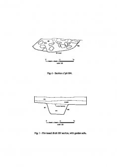 Fig. 6 - Section of pit 004