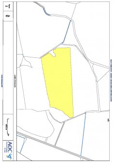 Specific location of the survey grids