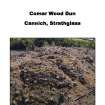 Report from archaeological evaluation and measured survey, Comar Wood Dun, Cannich, Strathglass