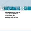 Report: 'Inchkeith Island, Firth of Forth, Fife, Archaeological Works - Phase 2', December 2007