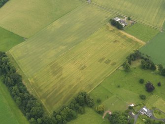 Oblique aerial view of the cropmarks of the ring ditch, legionary fortress and rig and furrow at Carpow with the farmsteading adjacent, taken from the NW.