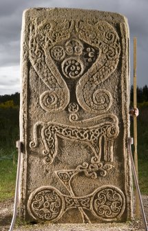 View of the reverse of the Rodney Stone, Pictish cross slab (flash, with scale)