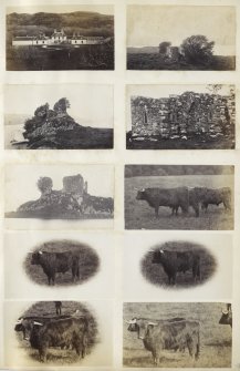 View of ten small photographs variously identified; the top five images are variously identified buildings or ruins and the lower five images are of highland cattle. 
Of the identifiable buildings, the upper-left image is a view of the front of Colonsay House, Colonsay, Argyll. The upper-right image is a wide view of the ruins of a medieval parish church, dedicated to St Columba, known as 'Kilneuair Chapel', at Kilmichael Glassary, Argyll.
The upper-central left image is a view of a boat moored at the Fincharn Castle ruins on the south end of Loch Awe, Argyll. The upper-central right image is another, more detailed, view of the ruins of a medieval parish church, dedicated to St Columba, known as 'Kilneuair Chapel', at Kilmichael Glassary, Argyll.
The central right image is another, more detailed, view of the Fincharn Castle ruins on the south end of Loch Awe, Argyll. 

PHOTOGRAPH ALBUM No. 187, (cf PAs 186 and 188) Rev. J.B. MacKenzie of Colonsay Albums,1870, vol.2.
