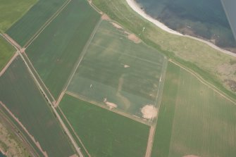 Oblique aerial view of the geological cropmarks, looking NW.