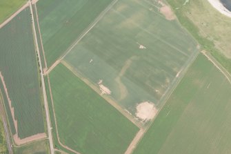 Oblique aerial view of the geological cropmarks, looking W.