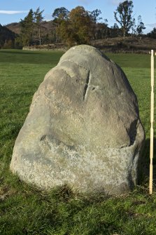 View of standing stone with incised cross (including scale)