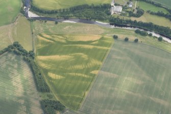 Oblique aerial view of the cropmarks at 'Montgomery's Knap', looking SSE.