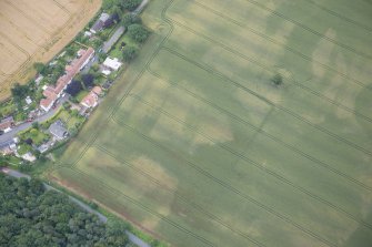Oblique aerial view of the cropmarks of the field boundary, looking SSE.