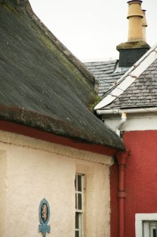 Detail of roof corner and skew showing vegetation growth on thatch; Bachelors club, Tarbolton.