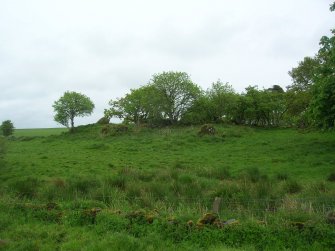 Site visit, Castle mound, view from track looking S, Auchencloigh castle, South West Scotland Renewables Project