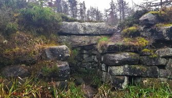 Digital photograph of panel in context without scale, from Scotland's Rock Art project, Torwood, Tappoch Broch, Falkirk
