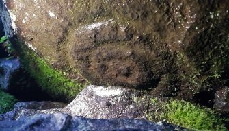Digital photograph of close ups of motifs, from Scotland's Rock Art project, Torwood, Tappoch Broch, Falkirk
