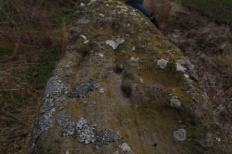 Digital photograph of rock art panel context, Scotland's Rock Art Project, Westerton, Angus