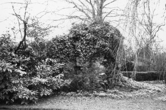 General view of remains of Castle covered in ivy.