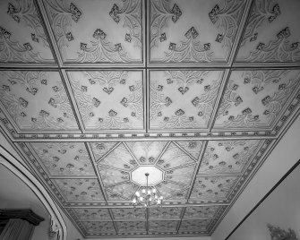 Minard House (Castle), interior.
View of ceiling in first-floor drawing room.