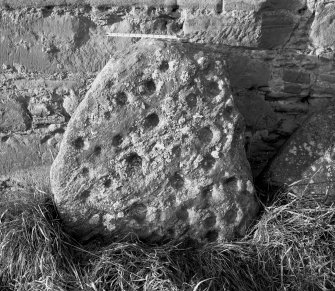 General view of cup-and-ring-marked stone.