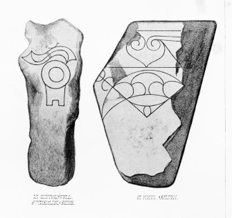 Pictish symbol stone at Firth.
From J Stuart, The Sculptured Stones of Scotland, vol. ii, plate civ.
Digital copy of detail of D 8768.