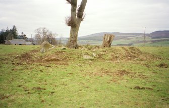 The ring cairn from the ESE