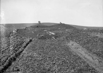 General view of two standing stones