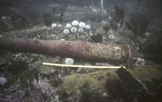 Maritime photographs: General underwater shot of cannon in situ at the investigation of the wreck, Wrangels Palais. 
(Received with Archaeological Diving Unit (ADU) papers).