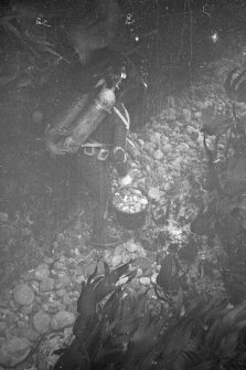 Moving stones by bucket during the excavation of Gulley A. Note the dynamic motion indicated by the waving kelp fronds.