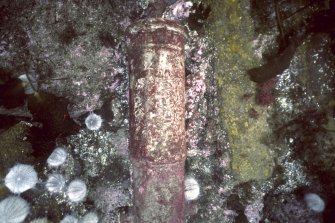 Maritime photographs: Underwater photograph of cannon detail in situ at the investigation of the wreck, Wrangels Palais. 
(Received with Archaeological Diving Unit (ADU) papers).