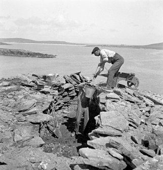 Excavations at Ness of Burgi