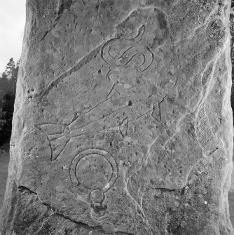 Back detail of Glamis Pictish cross slab.
