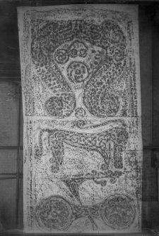 Photographic copy of rubbing showing the reverse of Rodney's Stone Pictish cross slab, Brodie.


