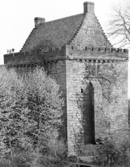 Mauchline Castle. View from North-East.
