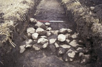 Slide 7/7. Trench F Wall