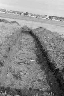 View of excavated trench