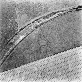 Caddonlee, oblique aerial view, taken from the N, centred on the cropmarks of an enclosure.
