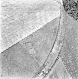 Caddonlee, oblique aerial view, taken from the SW, centred on the cropmarks of an enclosure.