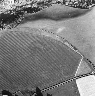 Oblique aerial view centred on the cropmarks of the enclosure with the enclosure adjacent, taken from the NW.