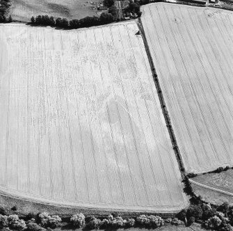 Oblique aerial view of Phantassie centred on the cropmarks of an enclosure, possible ring-ditch, rig and linear cropmarks with a dovecot adjacent, taken from the NNW.
