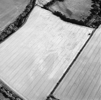 Oblique aerial view of Phantassie centred on the cropmarks of an enclosure, possible ring-ditch, rig and linear cropmarks with a dovecot adjacent, taken from the WNW.