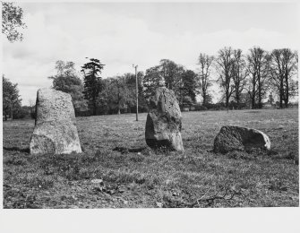 Pitfour, Standing Stones of St. Madoes, Perthshire, General Views