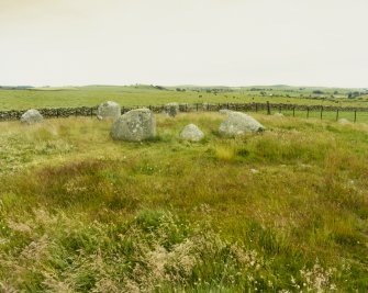 Torhouse Stone Circle