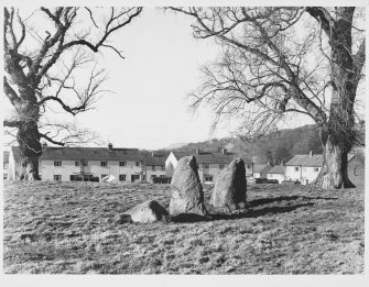 Standing Stones of St MacLeod, Pitfour Castle, Glencarse, Perthshire.  General Views