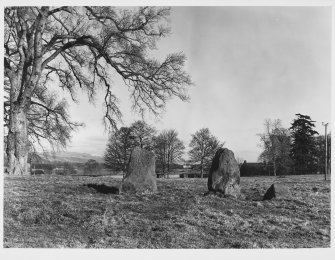 Standing Stones of St MacLeod, Pitfour Castle, Glencarse, Perthshire.  General Views