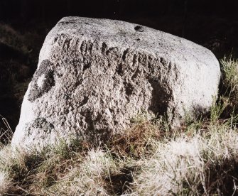 Detail of ogam inscription