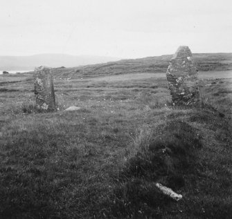 Standing stones, 'Tobermory'.