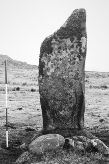 Southern stone from W. 